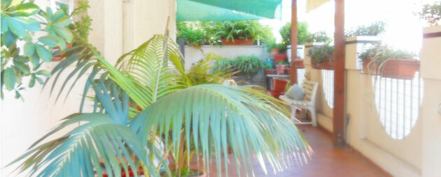 Ingresso con vegetazione b&b Margherita